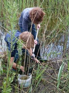 Kinderactiviteit Dommelbimd